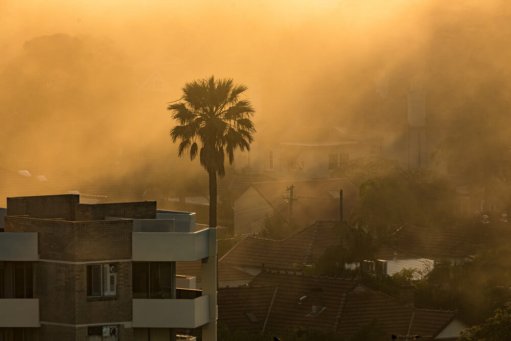 Climate damage