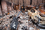 Bushfire destruction